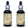 Lablab Bean (Dolichoris Lablab) Tincture, Dried Seeds Liquid Extract (Brand