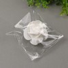 Cookie Bags for Packaging,4x6 Inches Clear Self Sealing Cellophane Bags