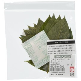 Earth Farms Preserved Flower Velvet Leaf Approx. 5 ~ 11 cm (Pack of 25) Green do01300 – 700 