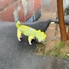 Waterproof Dog Raincoat, Dinosaur Design, Full Body Protection with Elastic