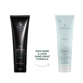 Paul Mitchell Awapuhi WildGinger Moisturizing Lather Shampoo, 250 ml