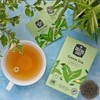 McCoy Teas Green Tea Bags Individually Wrapped Collection with Premium