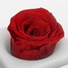 Rose Night Light Romantic Small USB Charging Soft Brightness Decoration