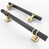 Asidrama 10 Pack 5 Inch(128mm) Matte Black and Gold Kitchen