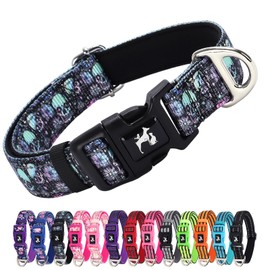 Reflective Dog Collar for Medium, Large & Extra Large Dogs - Soft Neoprene Padded, Adjustable Skull Design Stylish Gift pet Collars for Walking, Running (Skull XL)