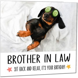 Brother in Law Birthday Card - Relax Dog Dachshund Funny Birthday Cards for Brother in Law