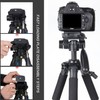 BONFOTO Pro Camera Camcorder Tripod Monopod Ball Head Quick Release