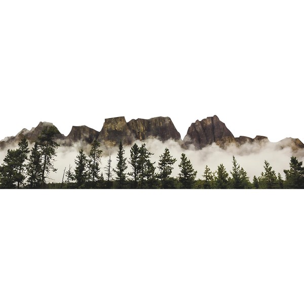 H13642 Castle Mountain Trees Fog Banff National Park Canada Cardboard
