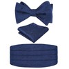 Alizeal Mens Classic Paisley Self-tied Adjustable Bow Tie, Cummerbund and