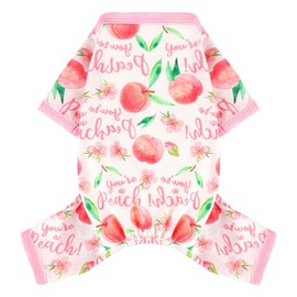 Dog Pajamas Pjs Summer Fall Dog Clothes for Small Dogs Girl Boy, Soft Stretchy Tiny Chihuahua Yorkie Puppy Clothes Doggie Onesies Cat Pet Jammies Outfit