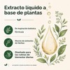 Mayaverra Gotas de Drenaje Linfático 60ml