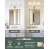 METWET Bathroom Light Fixtures, Brushed Gold Vanity Lights with Beige