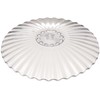 Chiba Industries AOT05024 Drop-off Lid, 9.4 inches (24 cm), Polycarbonate,