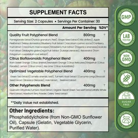 inGreens 25-in-1 Polyphenols Supplement, 2000MG Powerful Antioxidants & Polyphenol for Age Defense, Polyphenol Superfood, Quercetin, Resveratrol, Plant-Based & Energy, Immune Support, 60 Capsules
