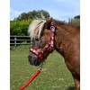 Rhinegold Unicorn Headcollar and Rope Set - Shetland - Red