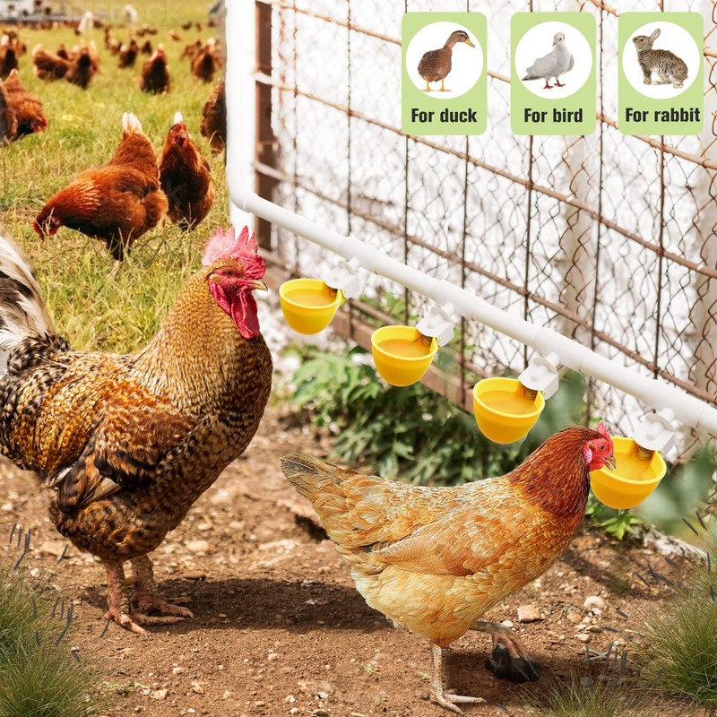 8PC Chicken Water Cups with PVC Tee Fittings for 1/2"