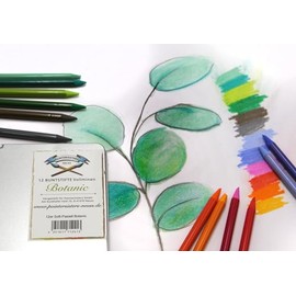 Paintersisters® 12 Soft Pastel Colouring Pencils Set in Metal Box Painting & Drawing Shatterproof Artist Colouring Pencils (Botanic)