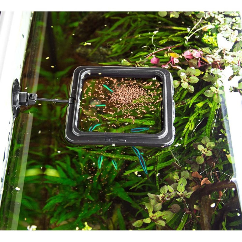 Hobby 61304 Feeding Station 2, eckig, 10 x 10 cm,