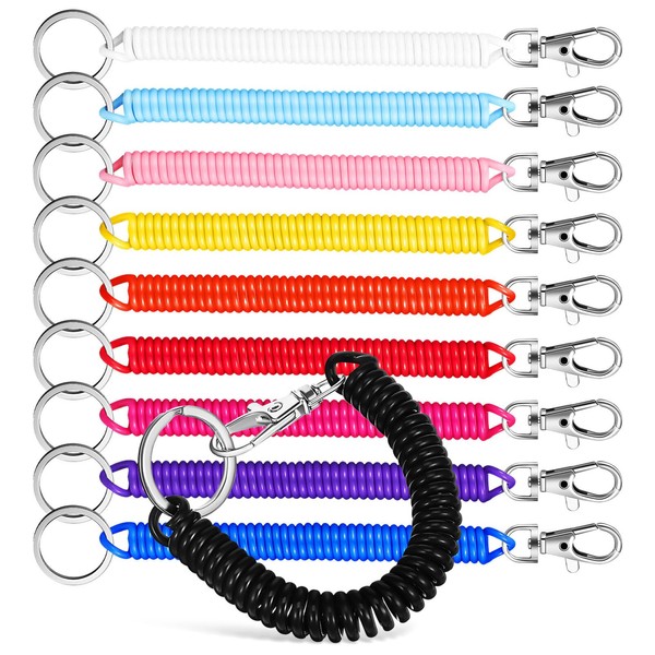 DEARMAMY 10 Pcs Spiral Chain Stretchy Keychain Coil Keychain Elastic