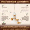 Range & Roots Colostrum Supplement - Liquid Bovine Colostrum -
