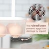 77L Deviled Egg Containers with Lid, (Set of 2), Plastic