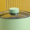 Multifunctional Electric Cooking Pot Small Mini Electric Cooker Rapid Noodle