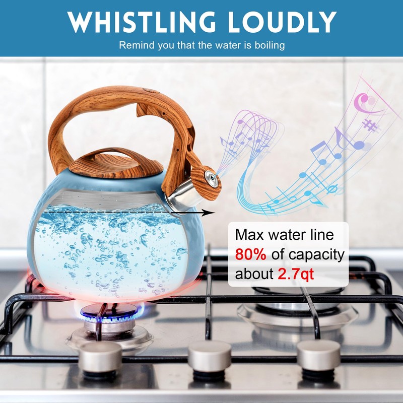 GGC Tea Kettle for Stove Top, Loud Whistling Kettle for