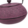 30 oz Cast Iron Teapot Enamel Lining W/Metal Infuser Tea