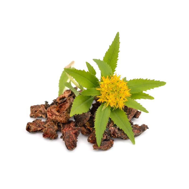 Health Embassy Rhodiola Rhizome (Rhodiola L. - Rhodiola Rosea) (100g)