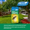 Monterey Wasp & Yellow Jacket Trap - Non-Toxic, Pesticide-Free, Organic