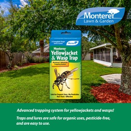 Monterey Wasp & Yellow Jacket Trap - Non-Toxic, Pesticide-Free, Organic - Traps Wasps and Yellowjackets - Easy Outdoor Setup - 2 Pack