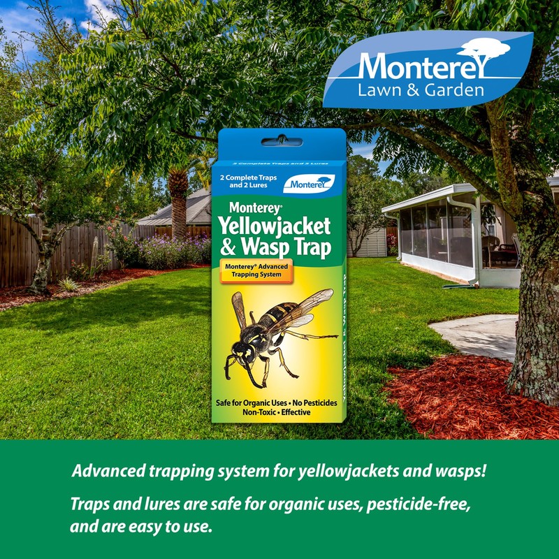 Monterey Wasp & Yellow Jacket Trap - Non-Toxic, Pesticide-Free, Organic