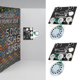 VGOL 2Pcs Sound Module Key Recording Chip 60 Seconds Rrecording for DIY Homemade Greeting Cards Gift Boxes 69x50x6mm