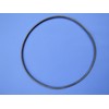 Oase Filtoclear – Large Sealing Ring for Lid Jar of