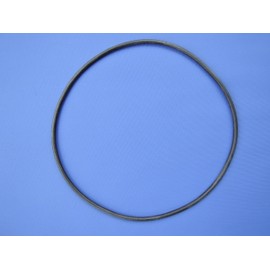 Oase Filtoclear – Large Sealing Ring for Lid Jar of Spare Filter LEARS