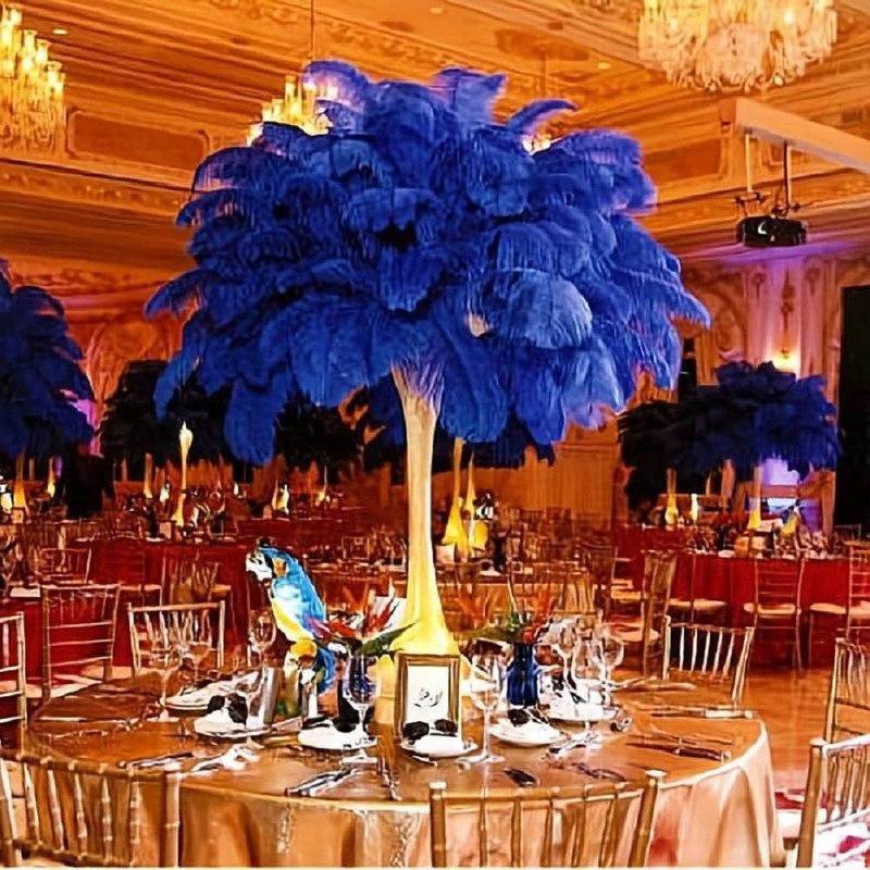 10pcs Natural Ostrich Feather Craft 16-18inch(40-45cm) Plume for Wedding Centerpieces