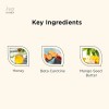 Hey Honey Skincare Mango Herbal Mineral Scrub Exfoliante De