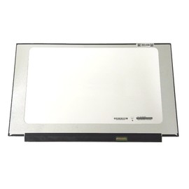 A Plus Screen 15.6 inch IPS 1920 x 1080 30 Pin Screen Compatible with NE156FHM-N61 NV156FHM-N4C N156HCA-GA3
