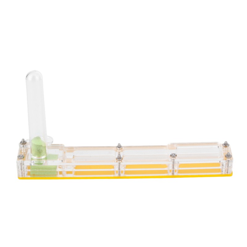 Acrylic Ant Breeding House Nest Formicarium Display Box with Water