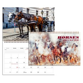 2025 Spiral-bound Wall Calendar (Horses) - 12 Months Desktop/Wall Calendar/Planner