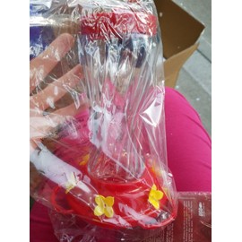 AUDUBON GLASS SWIRL HUMMINGBIRD FEEDER---16 OZ