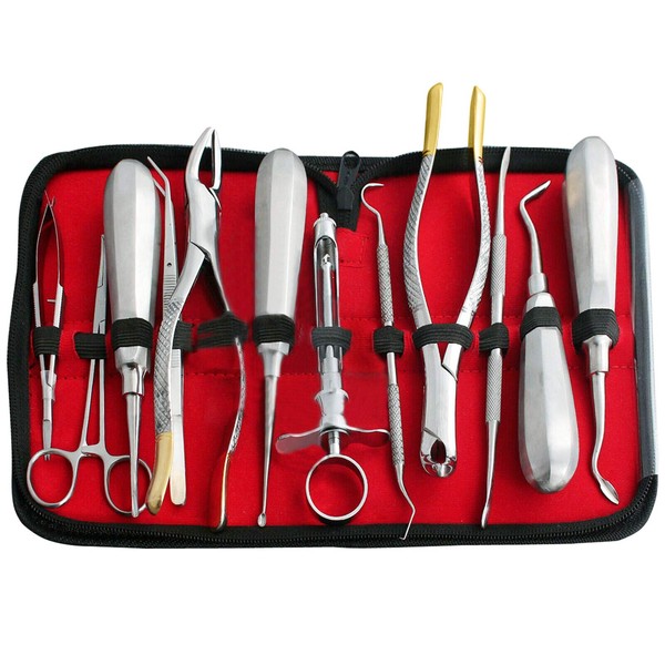 AAProTools 12 PCS Basic Dental EXTRACTING Extraction Forceps Elevators Set