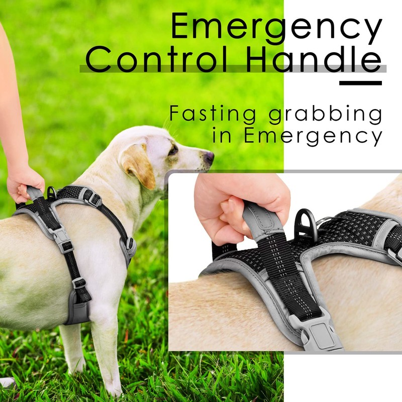 ThinkPet Anti-Pull Dog Harness, with Handle, Easy to Control, Adjustable,