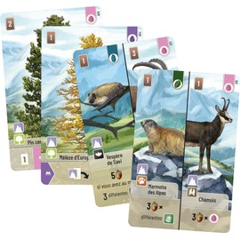 Asmodee Lookout Games Mixed Forest - Expansion: Alpine - Board Games - Card Games - Games for Family and Children from 10 Years - Educational and Strategic - French Version