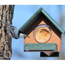 AmishToyBox.com Amish-Made Peanut Butter Bird Feeder, Eco-Friendly Poly Lumber, Fits 18 Oz... - Black/Aruba Blue