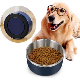 Dog Bowl