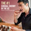 Queen Anne Dark Chocolate Covered Cordial Cherries | 6.6 oz