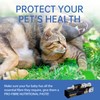 Probiotic Paste for Dogs & Cats | Dog Diarrhoea Treatment