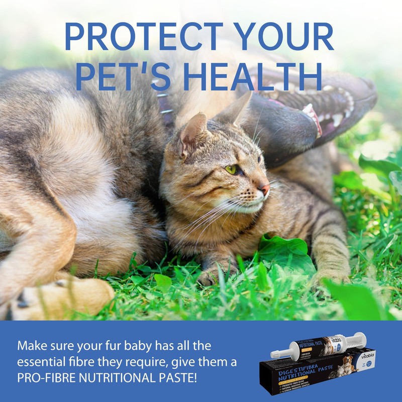Probiotic Paste for Dogs & Cats | Dog Diarrhoea Treatment