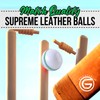 ONEGlobal Supreme Leather Cricket Ball | 100% Handstitched, 156g -